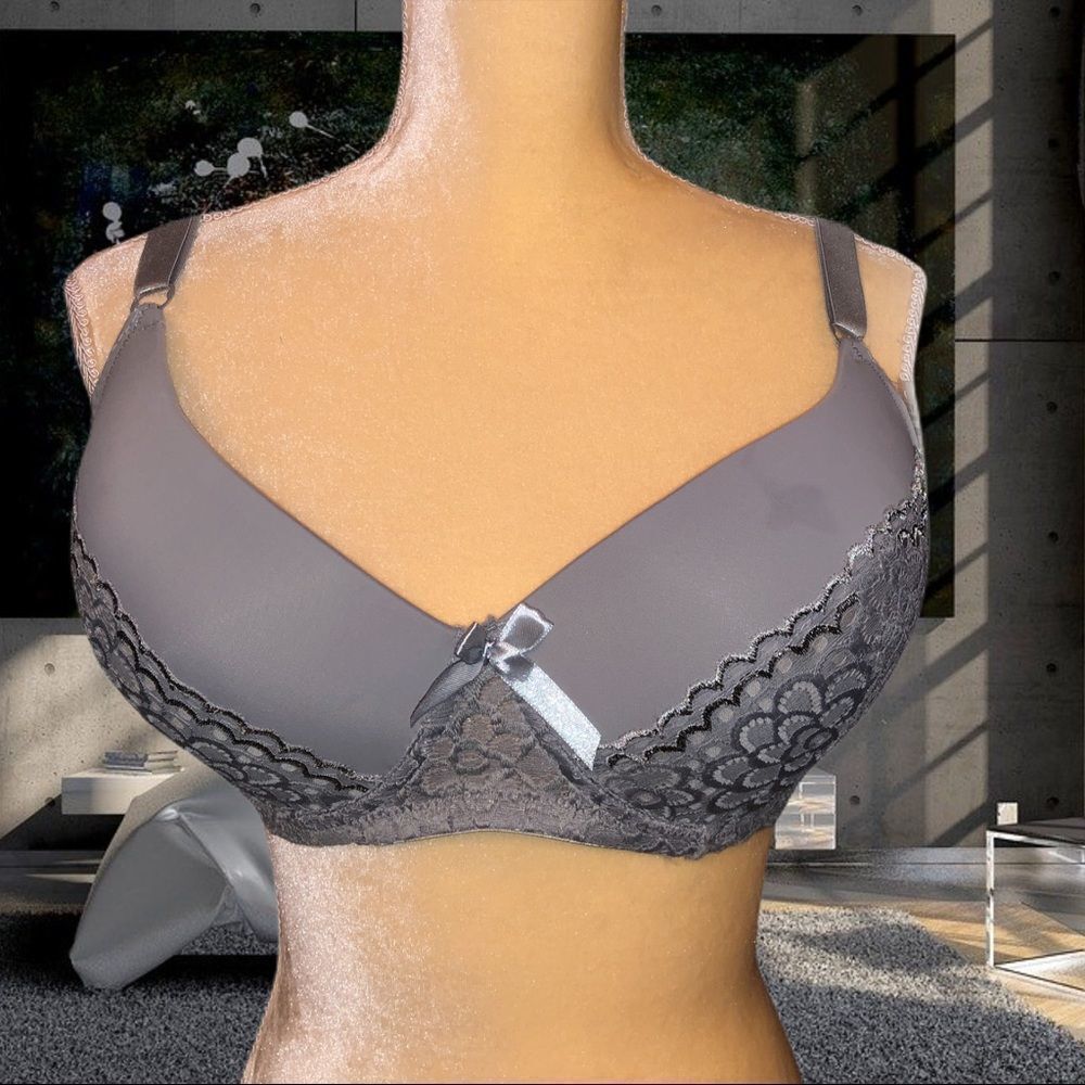Emily Johnson gray lace bra nwt